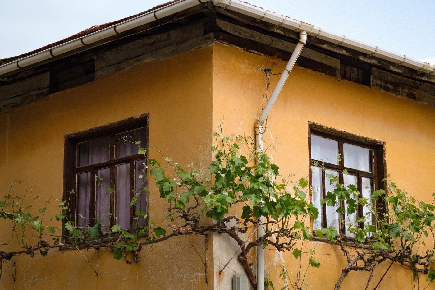 Gouttière et descente blanches le long d'une façade ocre, sous le débord d'un toit de tuiles